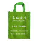 Promotional green Non Woven Shopping Bag With Logo Printing for school use