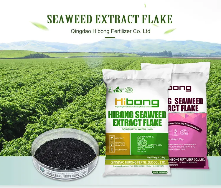 Organic Seaweed Extract Flake Fertilizers Agriculture