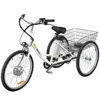 small electric tricycle 36v 250w e trike for the old and disabled motorcycle tricycle