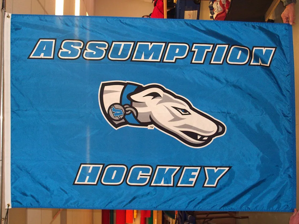 All Size and Image Cheap Flag Printing Flag Polyester Custom Flag