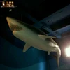 Realistic Robot Shark Animatronic Animal