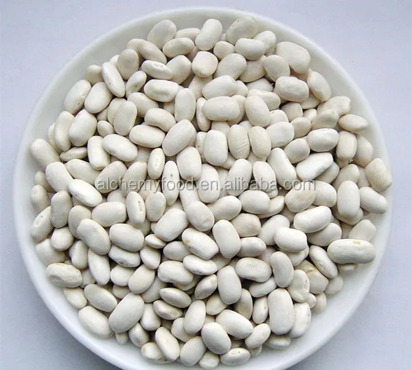 white kidney beans 2.jpg
