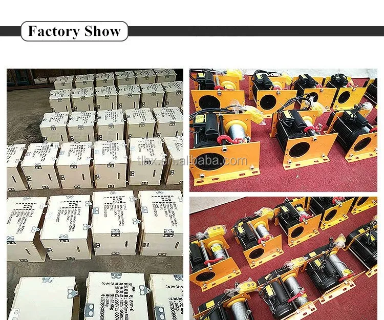 electric motor hoist.jpg