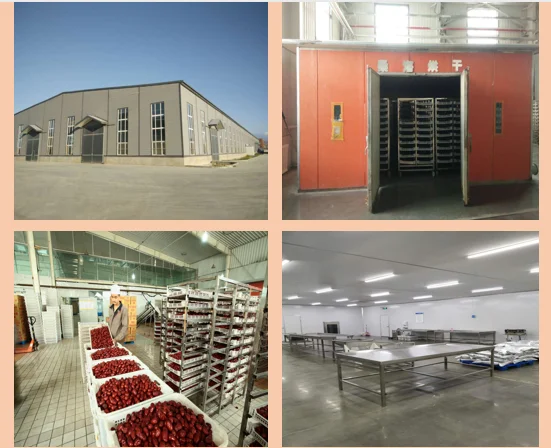 Natural dried fruit wholesale dried fruit suppliers walnuts in red dates chinese dried red dates for sale
