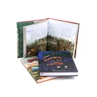 China supplier custom offset printing hardcover story books printing service