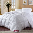 New Style Designed Winter Quilt 80% Goose Down White Comforter 100% cotton Modern Piping Duvet