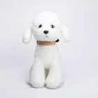 Hot Selling Wholesale Adjustable Custom Printed Pet Dog Collar