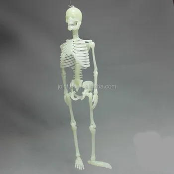 small plastic skeleton toys