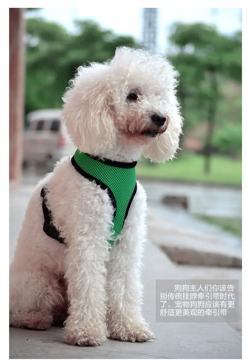 TB2852UaVXXXXaQXXXXXXXXXXXX-2266047197