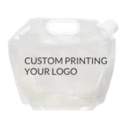 Bag Spout Stock Plastic Packaging Bag 5 Litre Plastic Transparent Water Packaging Stand Up Pouch Bag With Spout