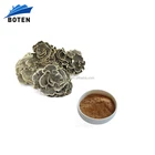 Bulk Supply Kawaratake Mushroom Extract