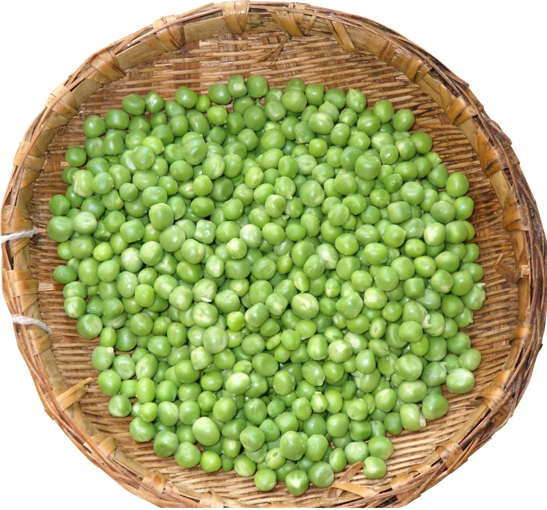 good quality iqf frozen fresh green soy bean