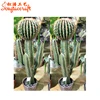 /product-detail/different-design-of-artificial-outdoor-decoration-cactus-60232484029.html