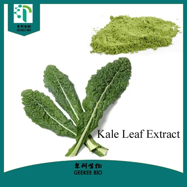 high quality organic vegetable kale leaf extract powder/brassica