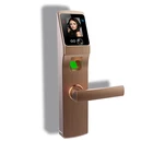 Eseye Face Recognition Fingerprint Touch Electric Screen Digital Handle Self Locking Smart Electronic Door Lock