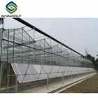 Sainpoly 3m-6m Gutter Height multi-span glass greenhouse