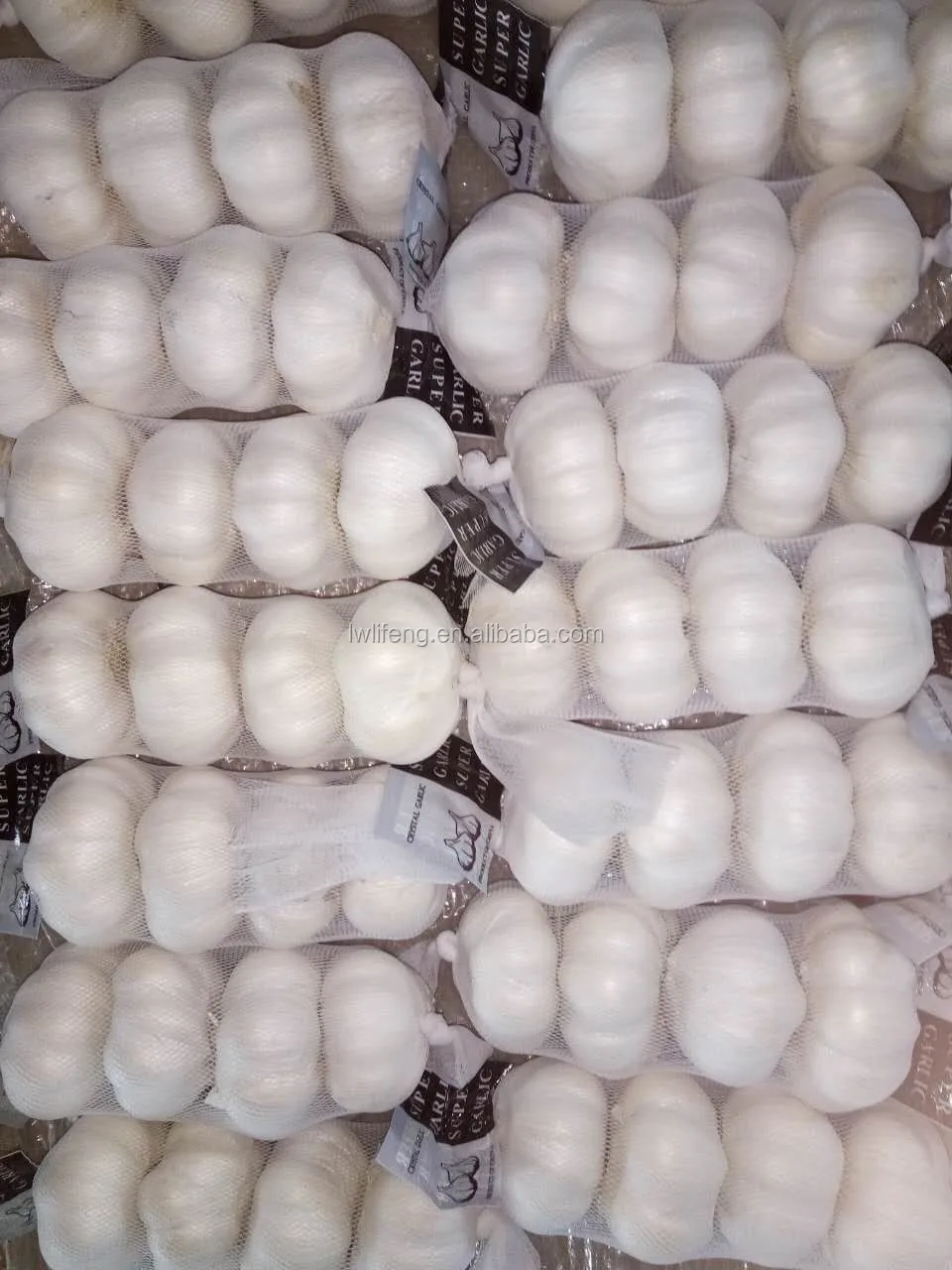 fresh Chinese White Garlic for sale / Pure White Garlic