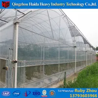 SINOLINKING Agricultural Hydroponic Aeroponics Systemsgreenhouse For