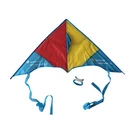 Polyester Promotional OEM Triangle Color Kite
