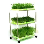 Garden indoor seedling growing tray for home