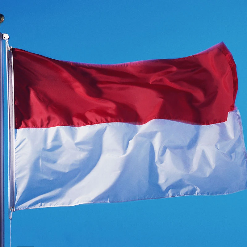 indonesian flag