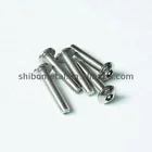 Hot new products zinc-plaitng head screw stainless steel security screws / anti-theft special tack Fast delivery