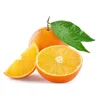 /product-detail/south-africa-export-cheap-bulk-fresh-oranges-62015115006.html