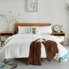 Summer Lightweight White Goose Down Home Comforter &Duvet&Quilt hot sell new Product