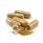 Organic Super Large Fungus Premium Extract Cordyceps Militaris Mushroom Chong Cao Hua Powder Capsule Tablets