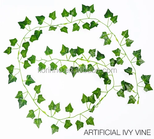 ivy vine.jpg