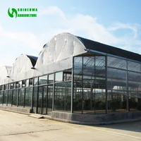 Multispan Tunnel Greenhouse For Strawberry Grape