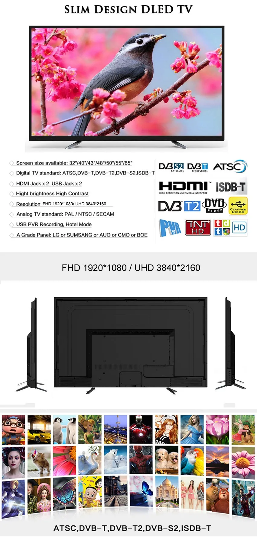 55''--- .jpg