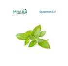 Spearmint Oil Spearmint Farwell High Quality Plant Extract Spearmint Oil 60% 80% Price 8008-79-5