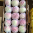 Apple Fruit Apple Fresh Chinese Apple Fruit Gala Apple Red Star Apple