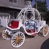 Electric Vehicle Electric Wedding Cinderella Carriage With LED Decorations