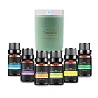 100% Pure Aromatherapy Essential Oils Gift Set 12 Bottles/10ml For Massage Humidifier Diffuser