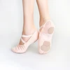 /product-detail/bs00005-wholesale-new-coming-custom-sansha-girls-ballet-shoes-for-women-62035524343.html