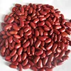 Moisture 15% Max Sugar Beans Red Kidney Beans