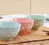 Relish Plate Bowls Ceramic Flower Printing Cups