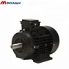 3KW 3000rpm IP55 AC230v IE4 permanent magnet synchronous pmsm motor 2kw