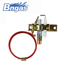 Qualified pilot ods burner for gas stove
