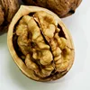 /product-detail/hot-sale-organic-walnut-60855425624.html