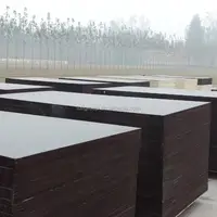 First Class Grade And Poplar Main