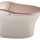 Heat electronic clean vagina bathroom shower smart bidet toilet