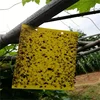 SP-Yellow Fly Sticky Insect Trap for Home & Garden