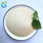 Halal Cattle Bone Gelatin Gelatin Manufacturer gelatin food