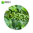 100% Green Coffee Extract High Quality 100% Pure Natural Green Coffee Bean Extract Powder Price