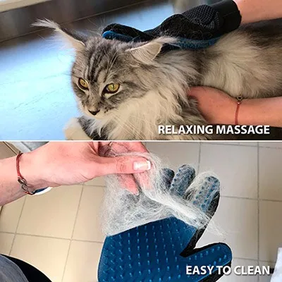 deshedding-cat-1.jpg