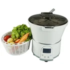 Fruit and Vegetable Home Use Sanitizer Cleaner Machine