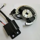 50CC 9HP 2 Stroke Engine Flywheel CDI Kit Dirt Bike Parts